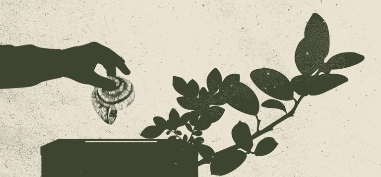 Autora: Cláudia Salgueiro.