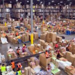 Sobre la política y la estrategia del decrecimiento.