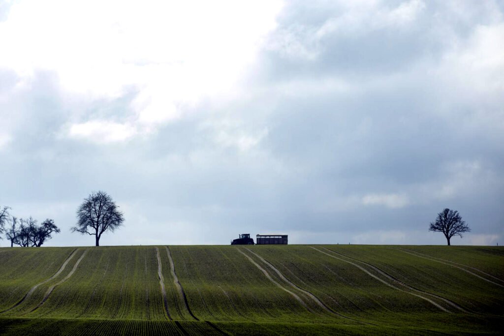Tierras contaminadas por pesticidas.