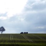 Tierras contaminadas por pesticidas.