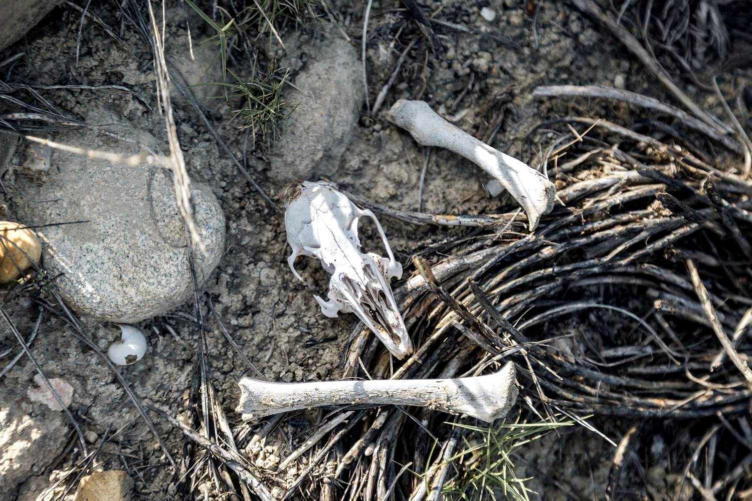 El conflicto en Irán resucita el temor a que se desate una guerra nuclear