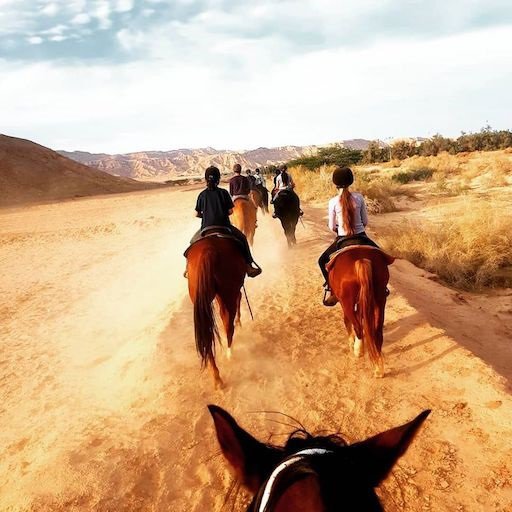 Centro de Equitación Terapéutica Red Mountain, Kibutz Grofit.
