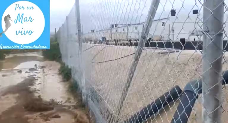 Los colectivos ecologistas denuncian ante la Guardia Civil un presunto vertido ilegal de purines en una rambla de Torre Pacheco.