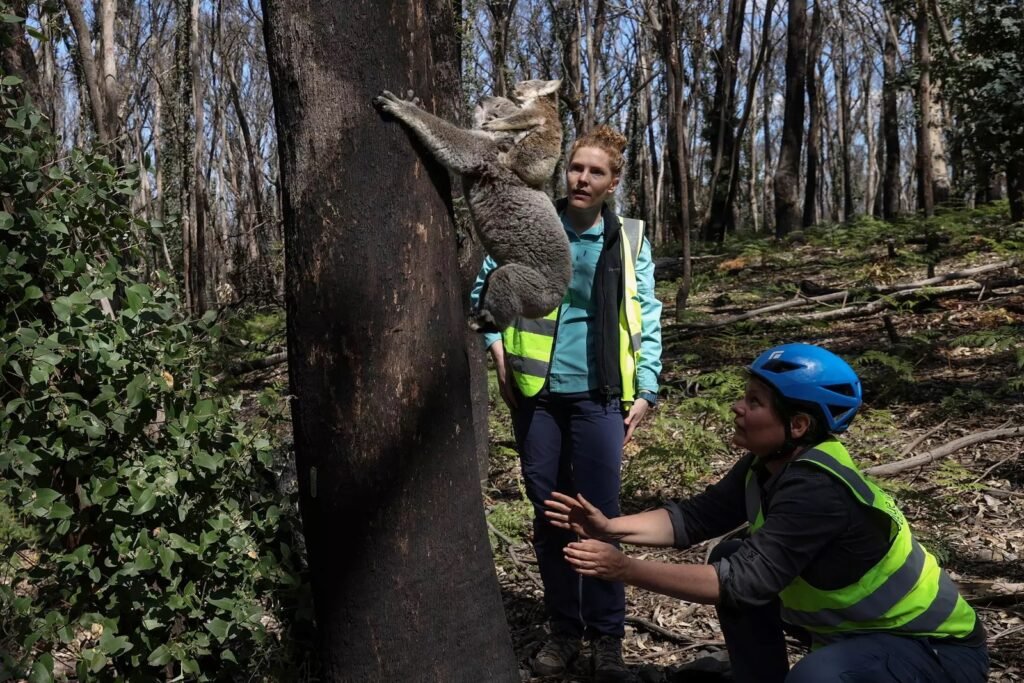 El 23% de los hábitats naturales de la Tierra podrían desaparecer para el año 2100.