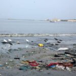 El Mar Menor, la laguna española contaminada que se defiende en los tribunales.