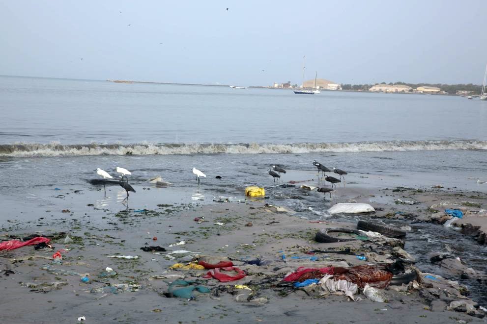 El Mar Menor, la laguna española contaminada que se defiende en los tribunales.
