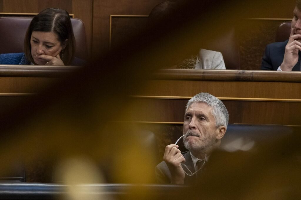 El ministro del Interior, Fernando Grande-Marlaska.