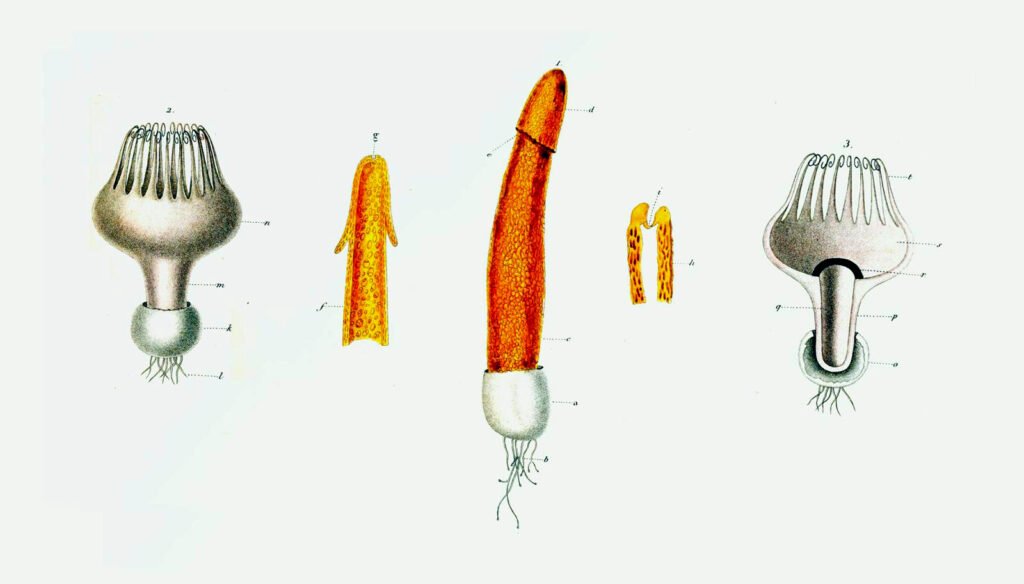 Sobre el heteropesimismo.