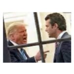 Trump se sorprendió al descubrir que Hegseth es un imbécil.