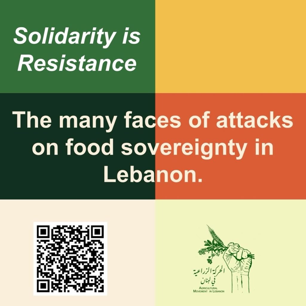 Solidaridad es resistecia - Líbano.