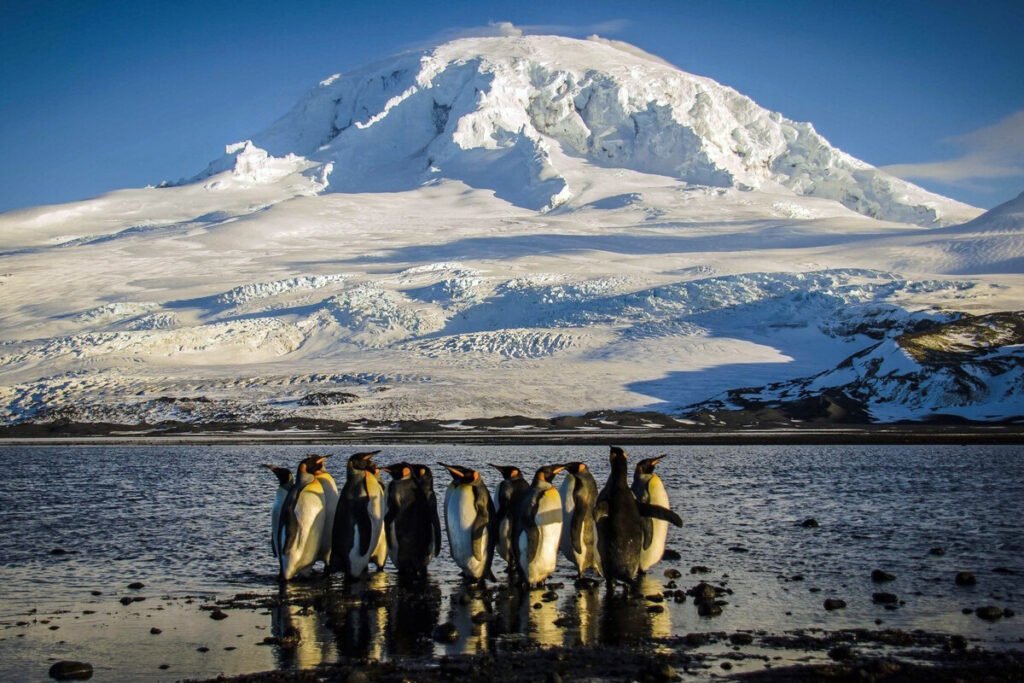 La diminuta isla Diego García solo está habitada por focas y pingüinos y Donald Trump también le puso aranceles.