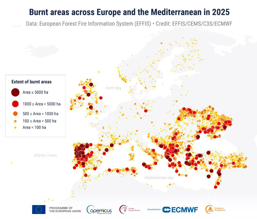 Áreas quemadas por los incendios forestales en 2025.