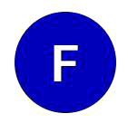 Francisco Rosa Guerrero