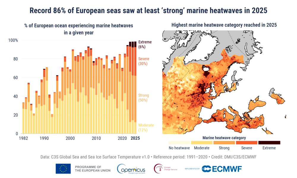 El 86% de la superficie marina europea sufrió fuertes olas de calor marinas en 2025.