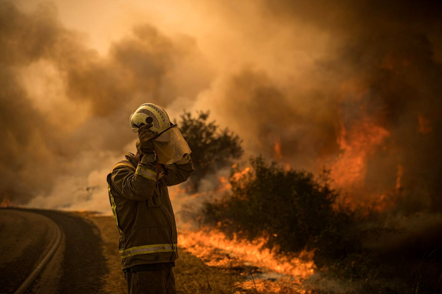 El rápido declive climático de Europa: olas de calor de 25 días y 35ºC en el Subártico escandinavo