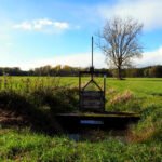 Sistema de riego cerca de uno de los bosques afectados en Landau, Alemania.