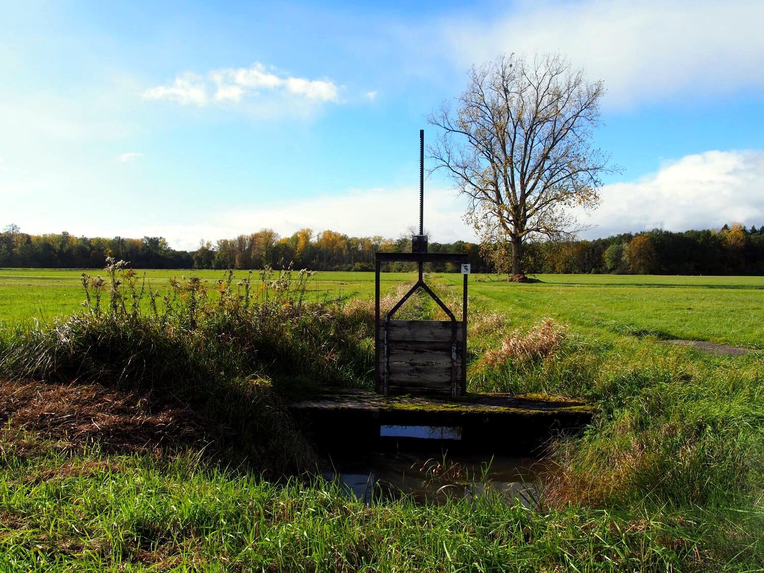 Alemania acelera la extracción de litio mientras tambalea su protección ambiental