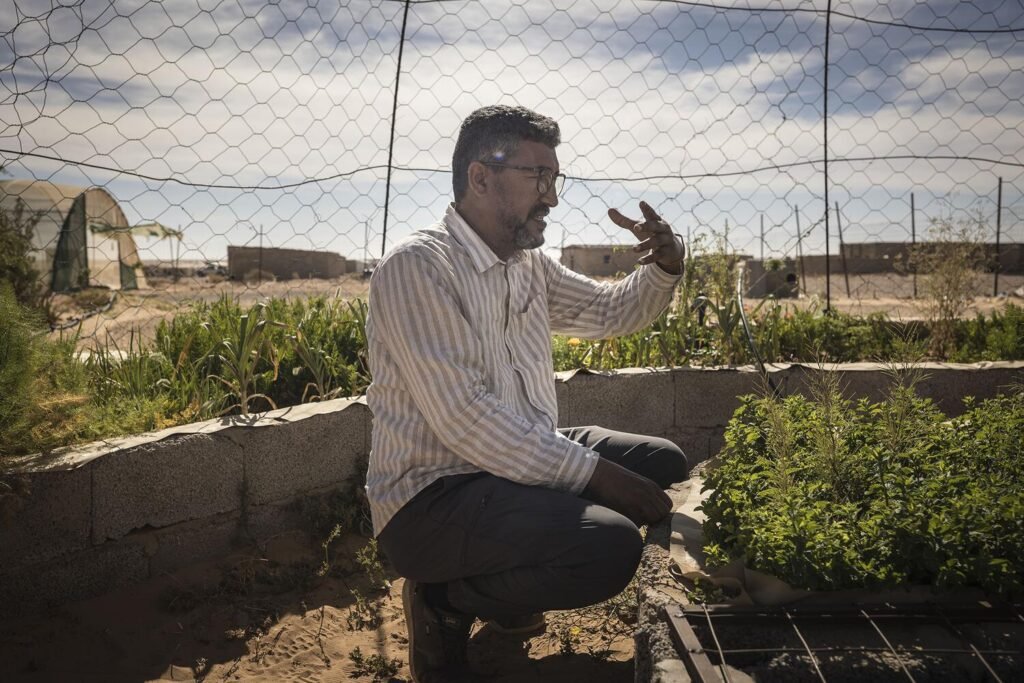 Taleb Brahim es ingeniero agrónomo. Llegó a los campamentos saharauis de Argelia con tan solo cinco años y pudo estudiar en Siria gracias a una beca. Ahora aplica sus conocimientos para construir pequeños huertos en el desierto, sin necesidad de tierra y con muy poca agua. Su objetivo es aumentar la soberanía alimentaria de las familias refugiadas mediante la instalación de huertos basados en la hidroponía y acuaponía, con tecnología básica y de bajo coste y un sistema de purificación de agua mediante un circuito natural en el que un pequeño tanque con peces aporta nutrientes y la plantas eliminan los nitritos y otros compuestos generados por los peces. Este circuito cerrado implica un consumo muy reducido de agua. Hay cientos de familias en los campamentos que ya han puesto en marcha esta idea para ser más autosuficientes. Jairo Vargas.