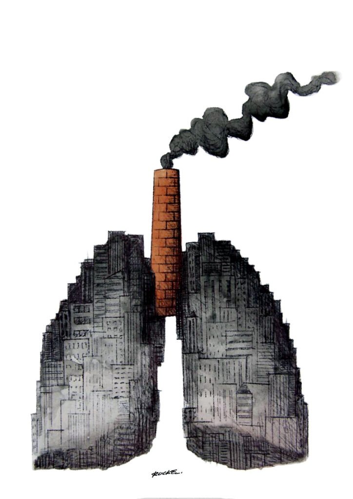 Anatomía industrial.
