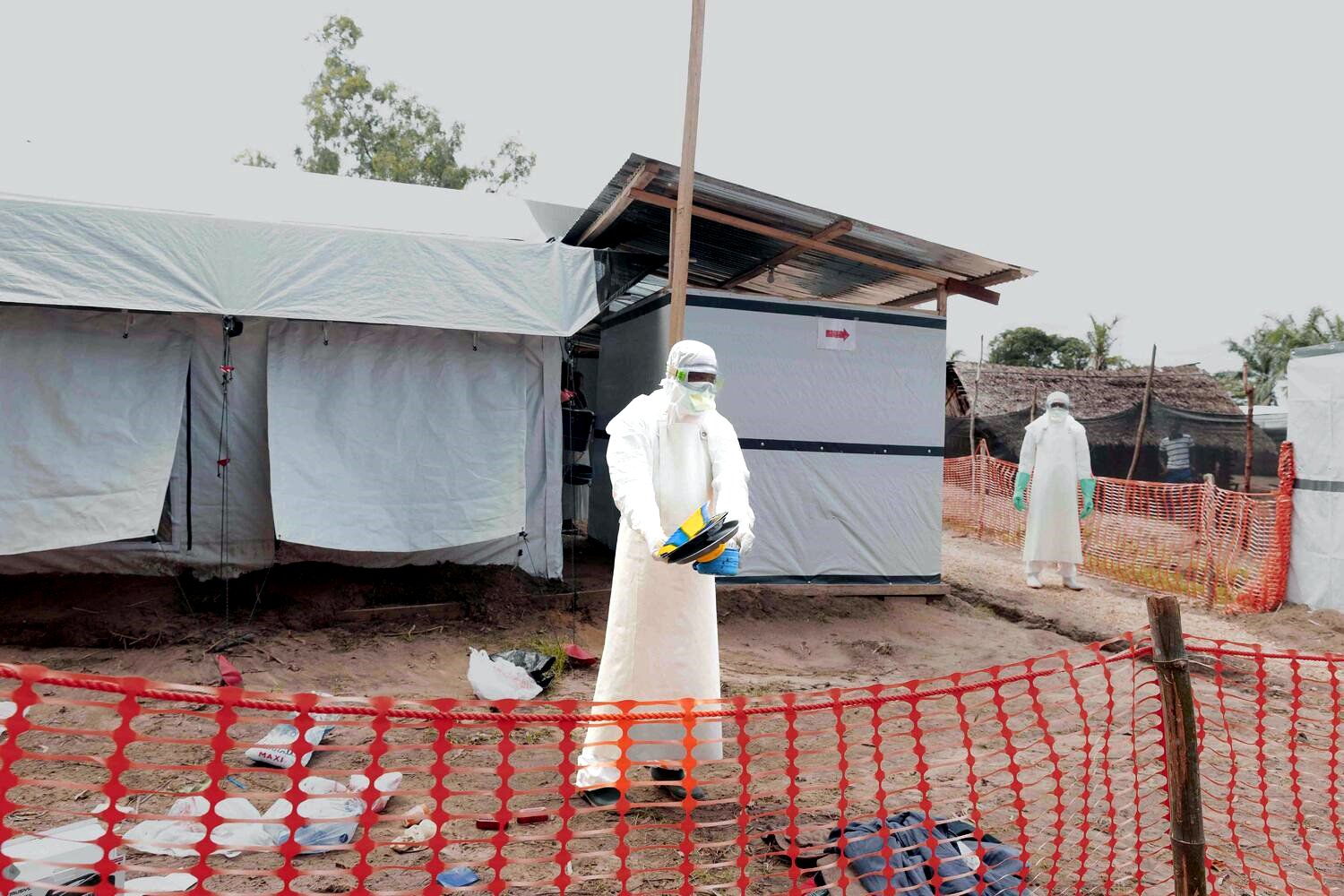 Hantavirus, ébola y desigualdades norte-sur: “Es fundamental entender que la salud es un concepto global”