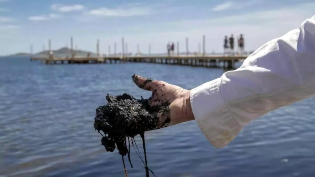 Estado 'crítico' del Mar Menor en las playas de Los Urrutias.