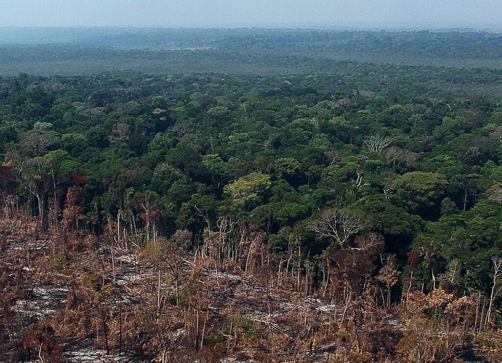 La Amazonía registra una reducción del 68% en la deforestación en 2025.