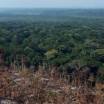 La Amazonía registra una reducción del 68% en la deforestación en 2025.