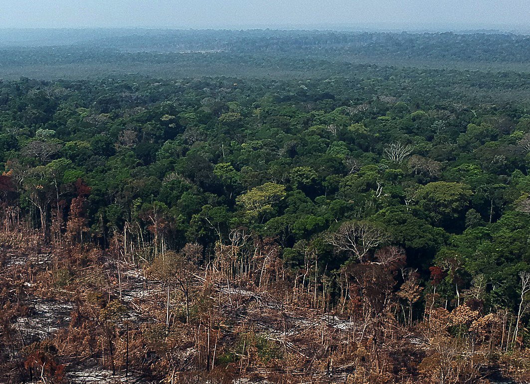 ¿El Amazonas convertido en sabana? La doble amenaza que se cierne sobre el pulmón del planeta