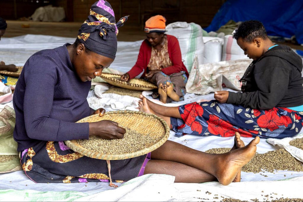 Mujeres trabajan en una planta de procesamiento de grano, en Kivu, en el oeste de Ruanda.