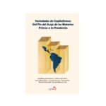 Variedades de Capitalismos: Del Fin del Auge de las Materias Primas a la Pandemia.