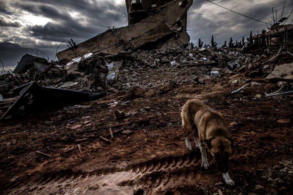 Devastación por los ataques israelíes en Líbano.