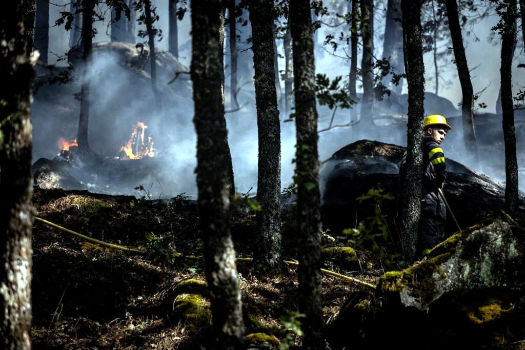 Un bombero forestal ataca un foco de fuego reactivado en la entrada de Casillas, Ávila.