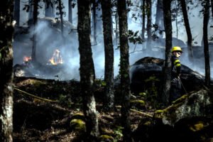 Un bombero forestal ataca un foco de fuego reactivado en la entrada de Casillas, Ávila.