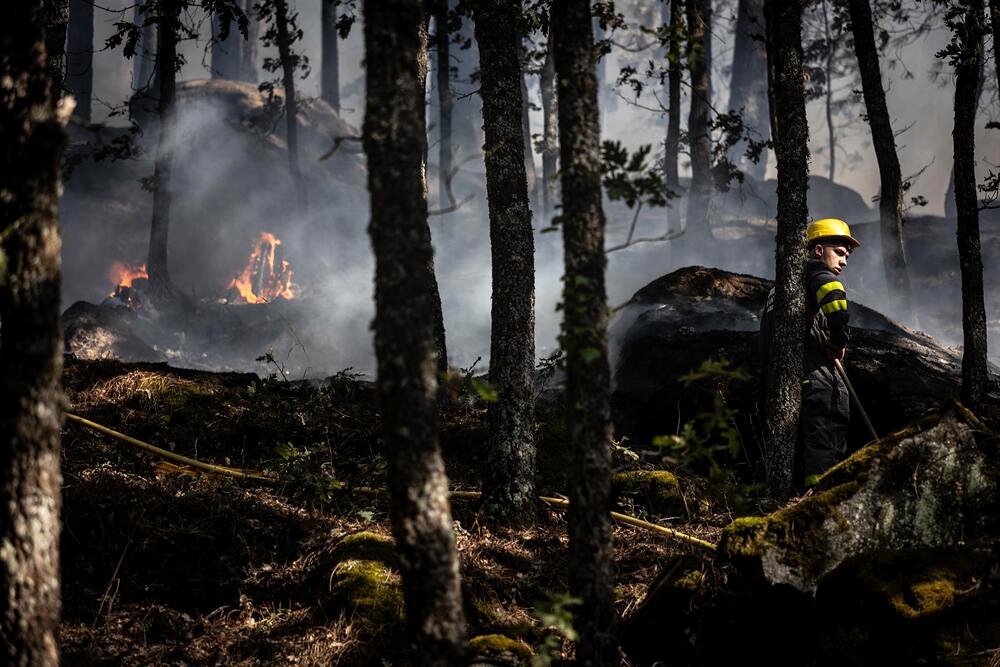 Un bombero forestal ataca un foco de fuego reactivado en la entrada de Casillas, Ávila. Fotografía de Jaime Pérez Rivero.