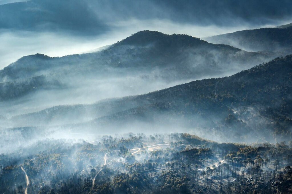 Este verano de 2026 ha dejado ya varios hitos para la historia de los incendios forestales en España, tanto por su magnitud y virulencia como por el número de personas afectadas y fallecidas. Pedro Armestre.