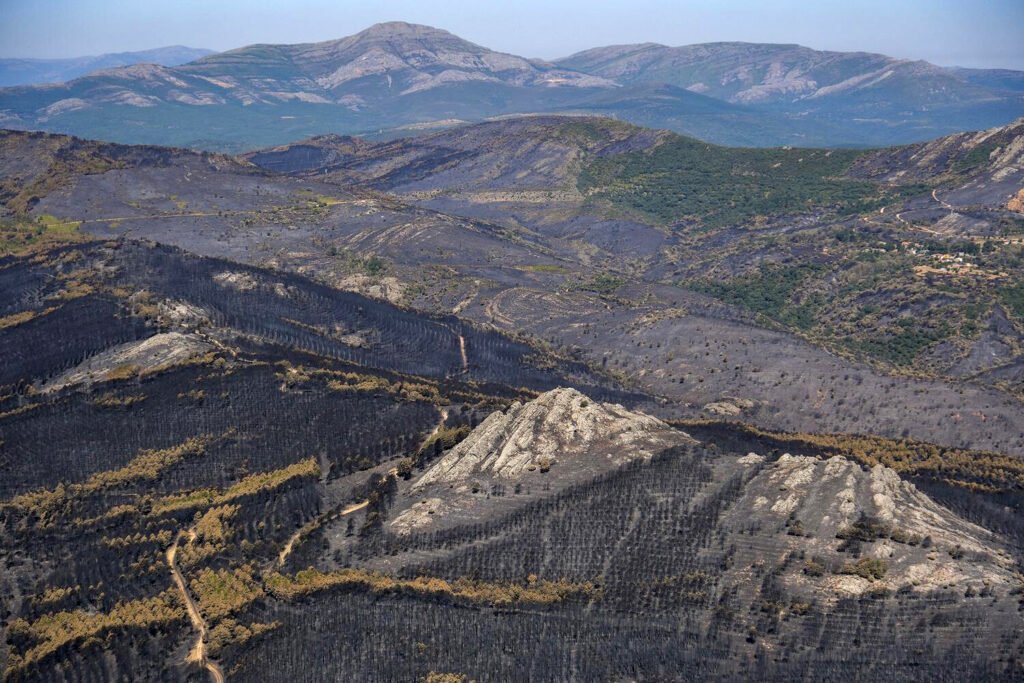 Greenpeace demanda una política pública estable con recursos locales, anticipación a olas de calor y una mayor concienciación ante el hecho de que el 95% de los incendios son causados por negligencia o intencionalidad humana. Pedro Armestre.