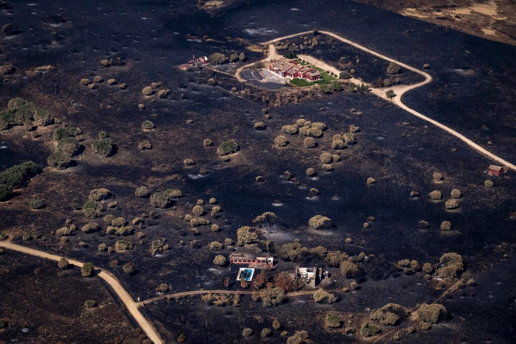 Greenpeace solicita al Congreso un acuerdo político amplio y financiación estable para cambiar el paradigma en la lucha contra incendios y frenar el abandono rural. Pedro Armestre.