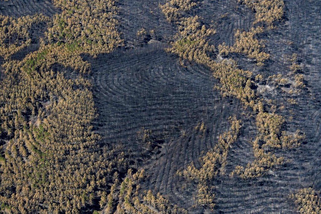 El cambio climático y las olas de calor secan el suelo y la vegetación, transformándola en un combustible idóneo que acelera la propagación del fuego ante cualquier detonante. Cuando estos factores coinciden con vientos fuertes y temperaturas extremas, se generan incendios de alta intensidad ingobernables que superan por completo la capacidad de los equipos de extinción. Pedro Armestre.