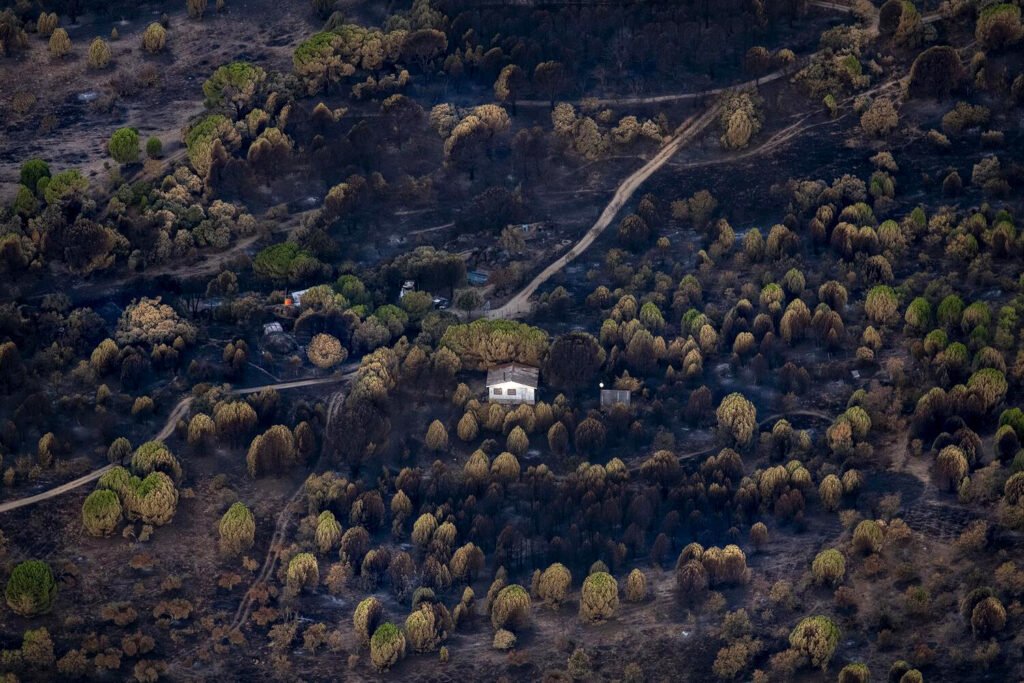Los incendios de la segunda quincena de julio comenzaron en las localidades de Brieva (Segovia), Almorox (Toledo), San Martín de Valdeiglesias (Madrid), Burgohondo (Ávila) y La Mierla (Guadalajara). Incendios que han traído al centro de la península realidades ya vividas en otras comunidades autónomas durante 2025. Fotografía de Pedro Armestre.