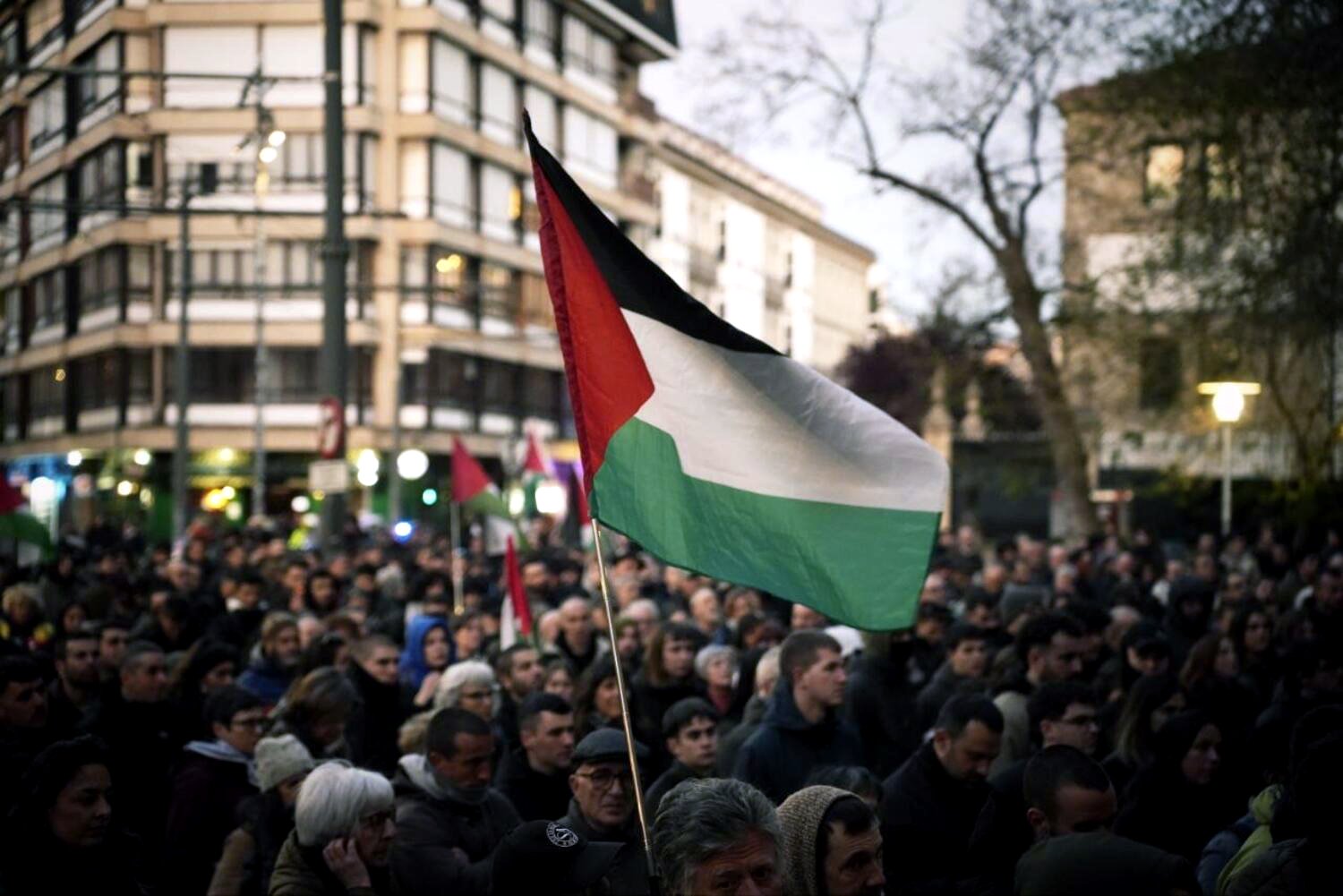 El “Octavo Frente”: Palestina y la batalla por el relato