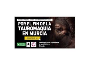 Concentración por el fin de la tauromaquia en Murcia.