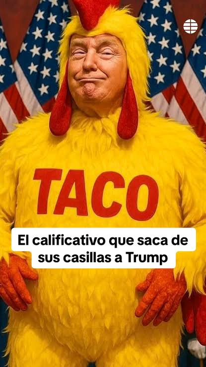 TACO.