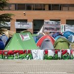 Acampada por Palestina en la Universidad Complutense de Madrid. David F. Sabadell.