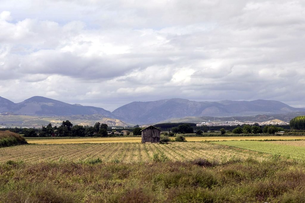 Campos de cultivo andaluces. Fotografía de David F. Sabadell.