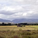 Campos de cultivo andaluces. Fotografía de David F. Sabadell.