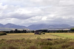 Campos de cultivo andaluces. Fotografía de David F. Sabadell.