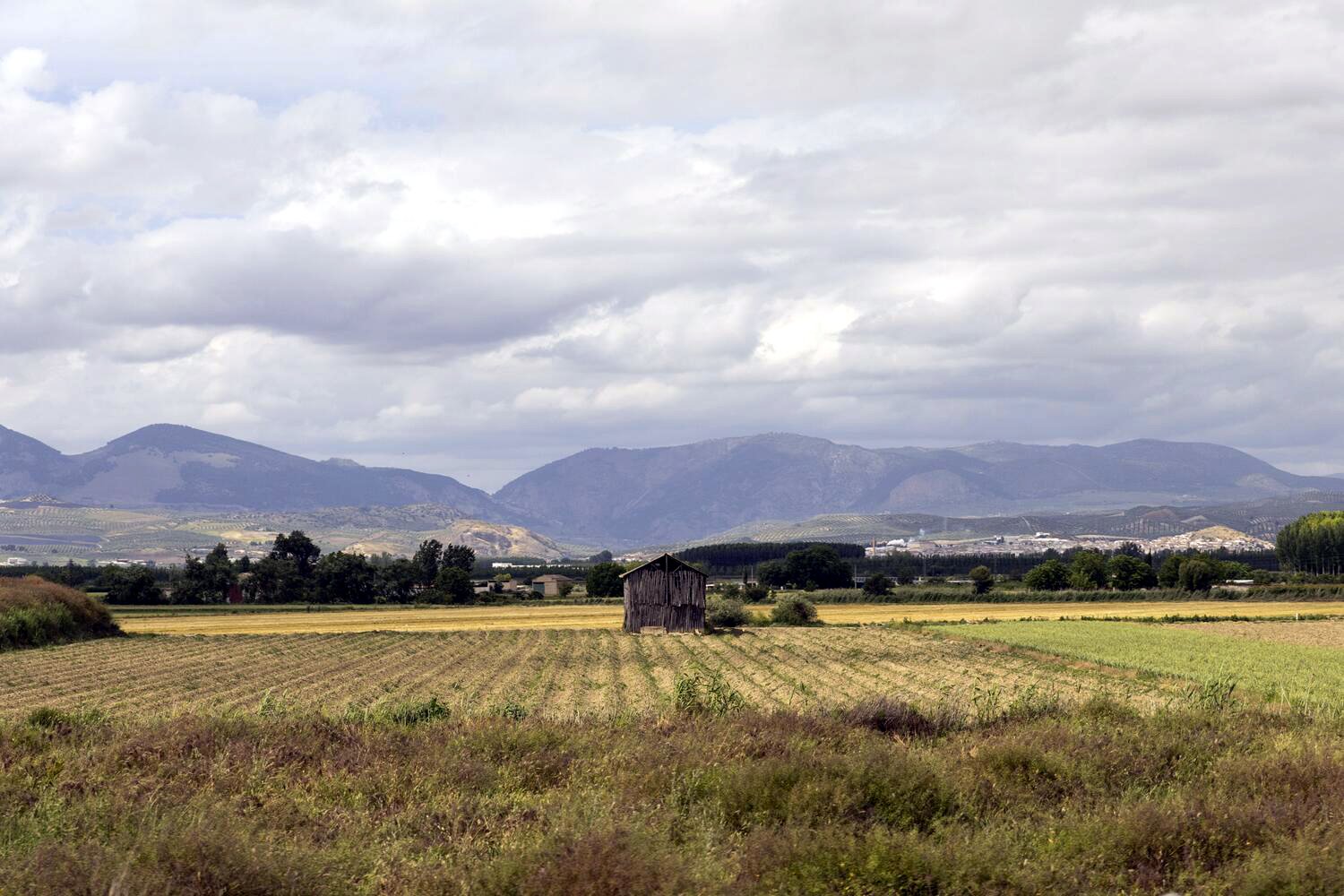 Tierra abandonada, tierra concentrada: dos caras de la misma crisis