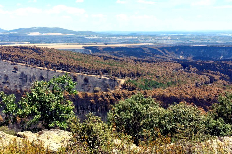 Incendios, hasta el próximo verano