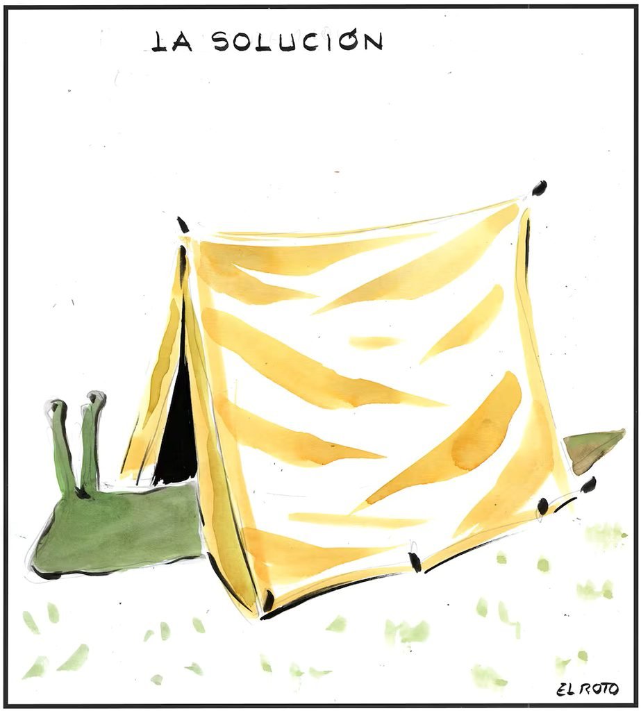 La solución.
