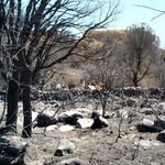 Los estragos causados por los incendios en Piedralaves (Ávila).